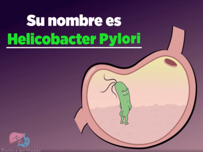 ¿De qué se alimenta la bacteria Helicobacter Pylori?